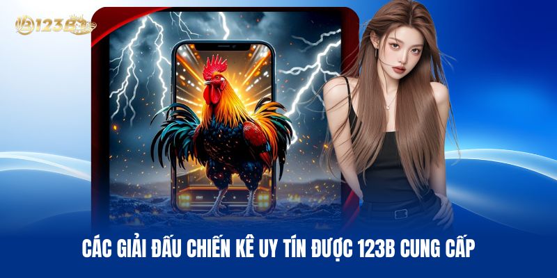 Các Giải Đấu Chiến Kê Uy Tín Được 123B Cung Cấp